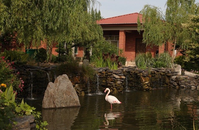 Ghoha Farm Accommodation Complex Lahijan Hotel, Lahijan — photo 2