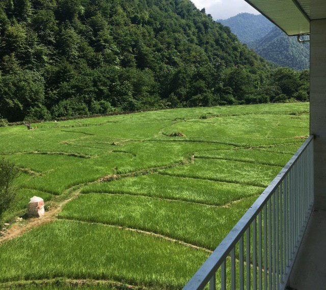 Ariana Hotel Masal, Masal — photo 4