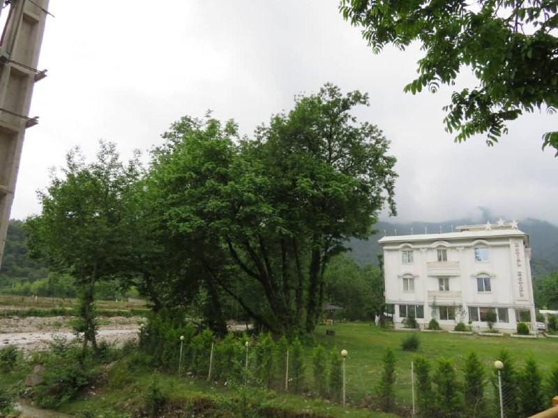 Royal Hotel Masal, Masal — photo 8