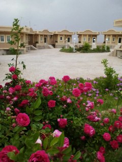Naranjestan Tabas Hotel, Tabas — photo 7