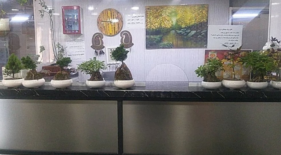Aban Hotel Kerman, Kerman — photo 2