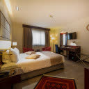 اتاق دو تخته برای یک نفر دیلوکس هتل الیزه شیراز