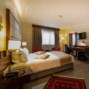 اتاق دو تخته دبل دیلوکس هتل الیزه شیراز