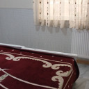 sarein-shams-19.jpg