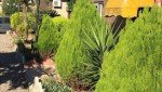 متل بهشت افرا(مرضیه سابق)