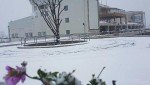 هتل میزبان (چهار ستاره)