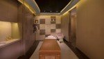 هتل حیات ریجنسی کریک هایتس (Hyatt Regency Creek Heights)
