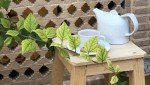 هتل کاشانه روشن