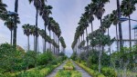 هتل آپارتمان کوثر