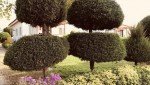 هتل پارمیس( پلاژ راه آهن)