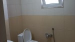 مجتمع گردشگری فانوس شب