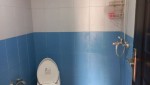 مجتمع گردشگری فانوس شب