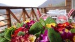 هتل آپارتمان تنکا پارسه