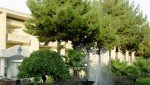 هتل جهانگردی