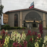 هتل پاپیون عباس آباد