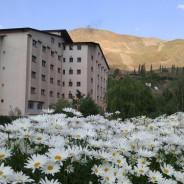 هتل گاجره دیزین