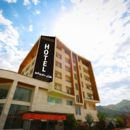 هتل داوینکو بانه