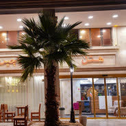 هتل لاچین قشم