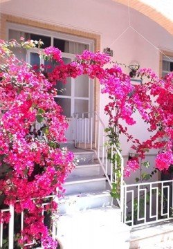 مهمانپذیر بنیاد يزد