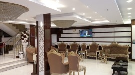 کاکتوس