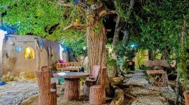سرو کهن