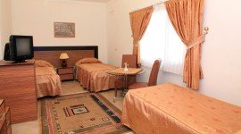 Darab-Naghsh_shapoor-07.jpg