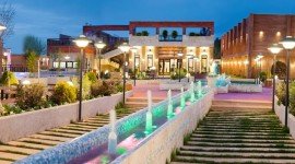 خانه رز