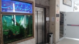 افتخار