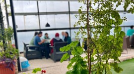 هالیدی