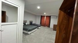 qeshm-falamingo-6.jpg