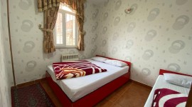 sarein-amir-7.jpg
