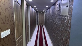 سپیدار