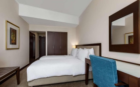 هتل رادیسون بلو (Radisson Blu) انکارا 3