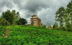 هتل آپارتمان امپراطور چلک لاهیجان