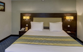 اتاق دوتخته برای یک نفر هتل اوین تهران