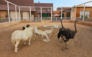 نمای هتل گلدن پالاس