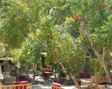 اقامتگاه بومگردی سرو کهن ابرکوه 15