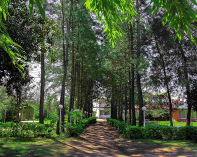 BandarAnzali-ZibaKenar-14.jpg