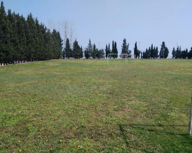 Chaboksar-Naranj-19.jpg