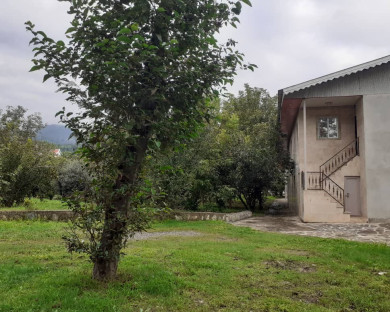 Fouman-Tavoos-02.jpg