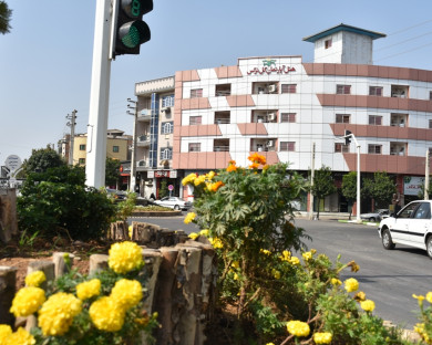 Gorgan-Gole_narges-01.jpg