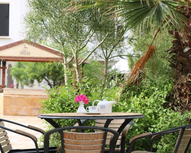 Kish-TatilatKish-25.jpg