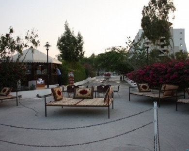 Kish-Top_roz-05.jpg