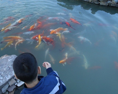 Lahijan-Mazraeyeghooha-33.jpg