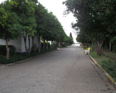 Mahmoudabad-Fanoos_darya-06.jpg