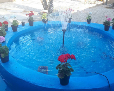 اقامتگاه بومگردی تخت جمشید مرودشت 1