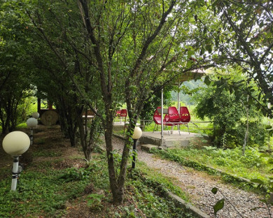 Masal-Ariana-30.jpg