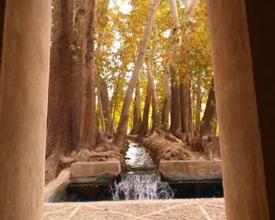 Mehriz-PahlebanpourGarden-20.jpg