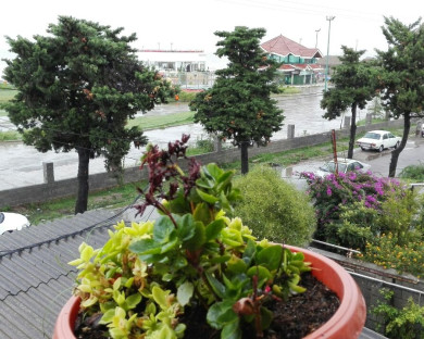 Ramsar-Karen-12.jpg