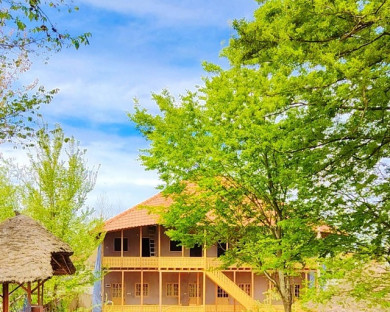 Rasht-Telarkhanehbordbar-16.jpg